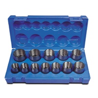 Action 12pc 1/2" Dr Wheel Lug Nut Remover Socket Set in Blow-mold Case 69523122