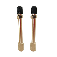 2 x GTS 100mm Metal Tyre Valve Extension Brass for Tube/Tubeless WHGAMEX100