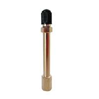 GTS 77mm Metal Tyre Valve Extension Brass for Tube/Tubeless Valve WHGAMEX77