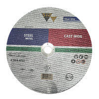 SIA Abrasive Grinding Disc 300x4x25.4mm A 24 R-BF41 Blue Line 0020.6646